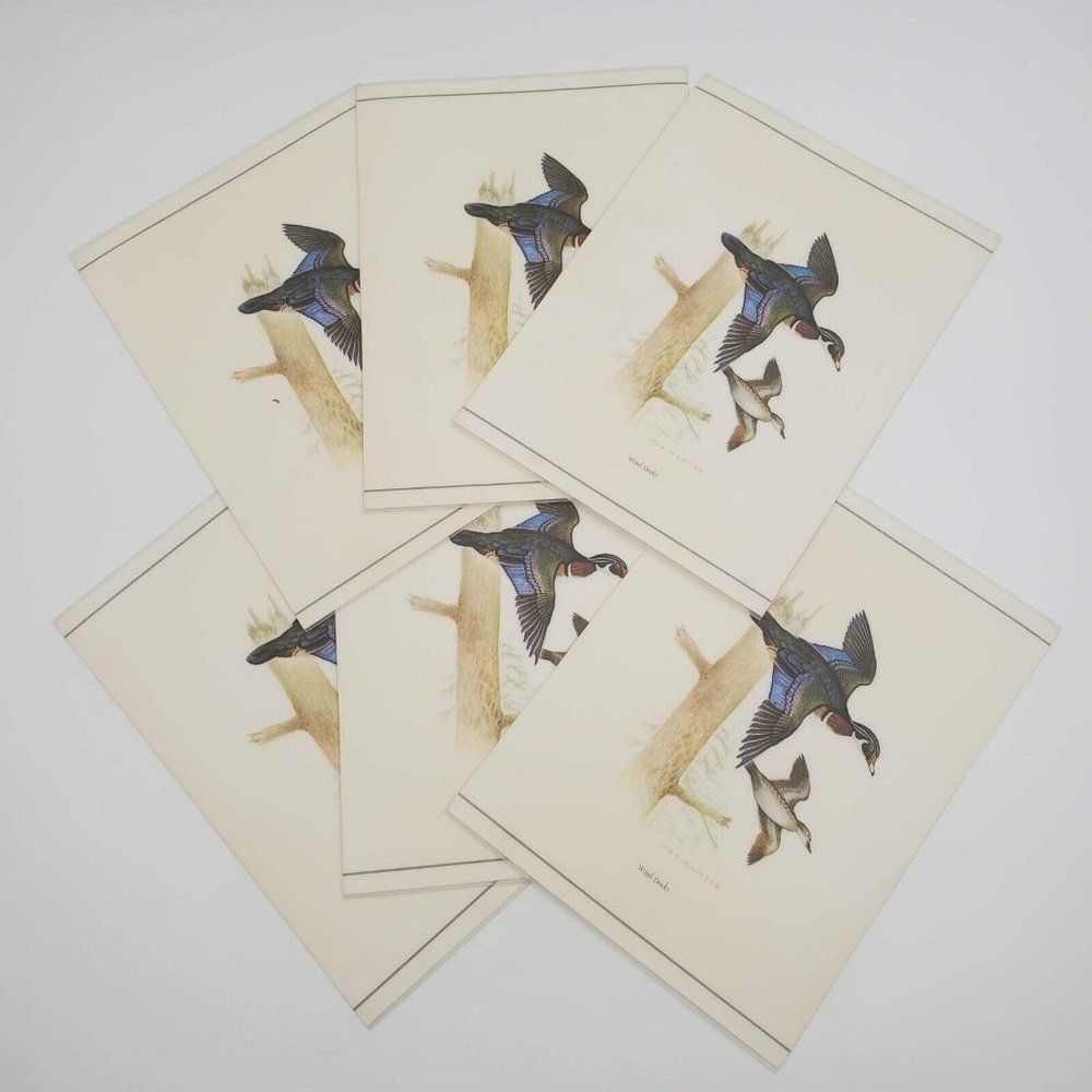 Set of 6 Laminated Wood Ducks Prints by Mel Hunter Illustrated